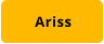 Ariss